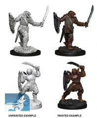 D&amp;D Nolzurs Marvelous Miniatures: Dragonborn Female Paladin