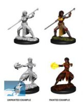 D&amp;D Nolzurs Marvelous Miniatures: Female Half-Elf Monk