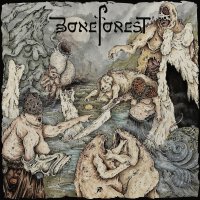 Boneforest Core Box