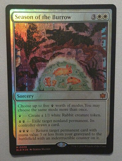 MTG Season of the Burrow - FOIL (english) - Bloomburrow