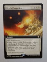 MTG Perch Protection - Borderless- (english) - Bloomburrow