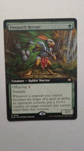 MTG Pawpatch Recruit - Borderless (english) - Bloomburrow