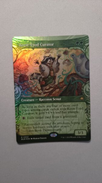 MTG Keen-Eyed Curator - FOIL - (english) - Bloomburrow +